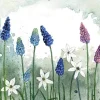Alex Clark Placemat - Grape Hyacinths