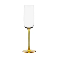 Anton Studio Designs 4-Piece 200ml Champagne Flutes - Gala