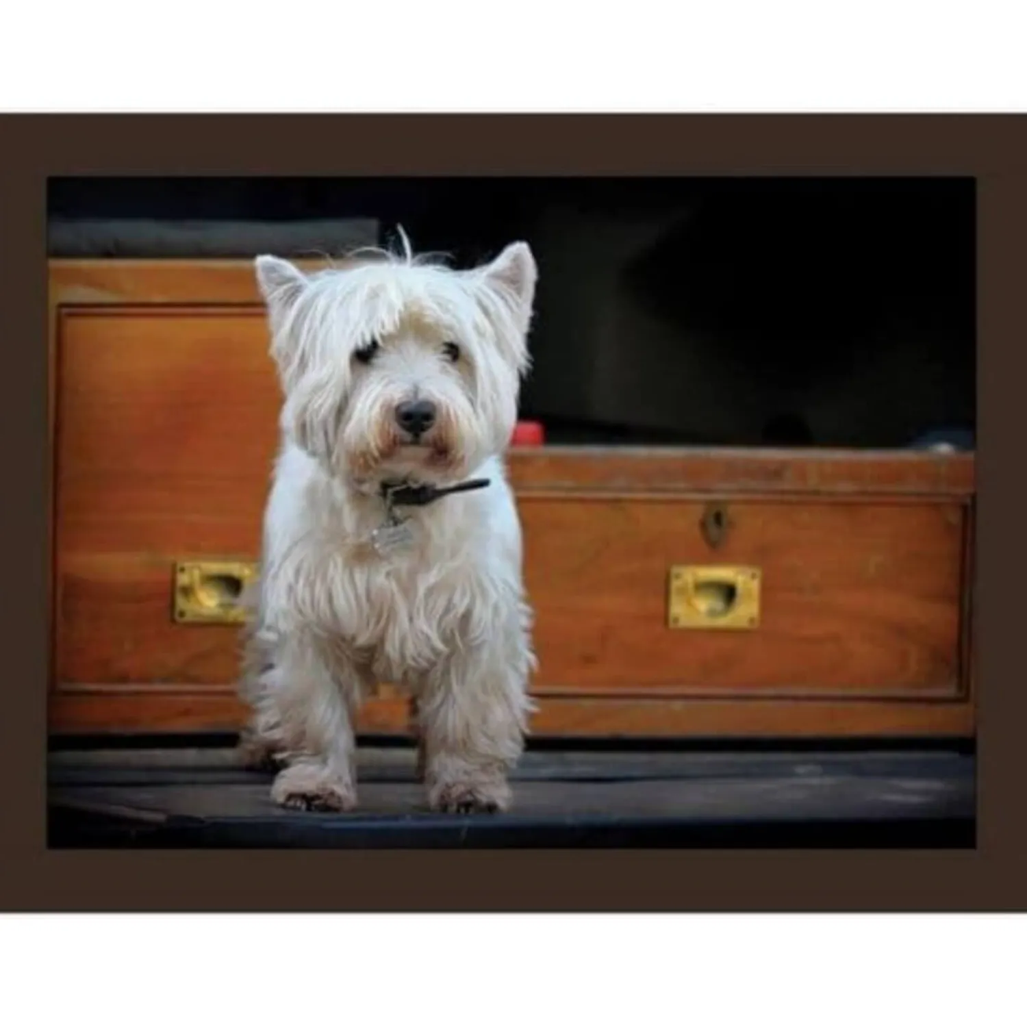 iStyle Rural Roots Faux Leather Cushioned Rectangular Lap Tray - Westie Road Trip