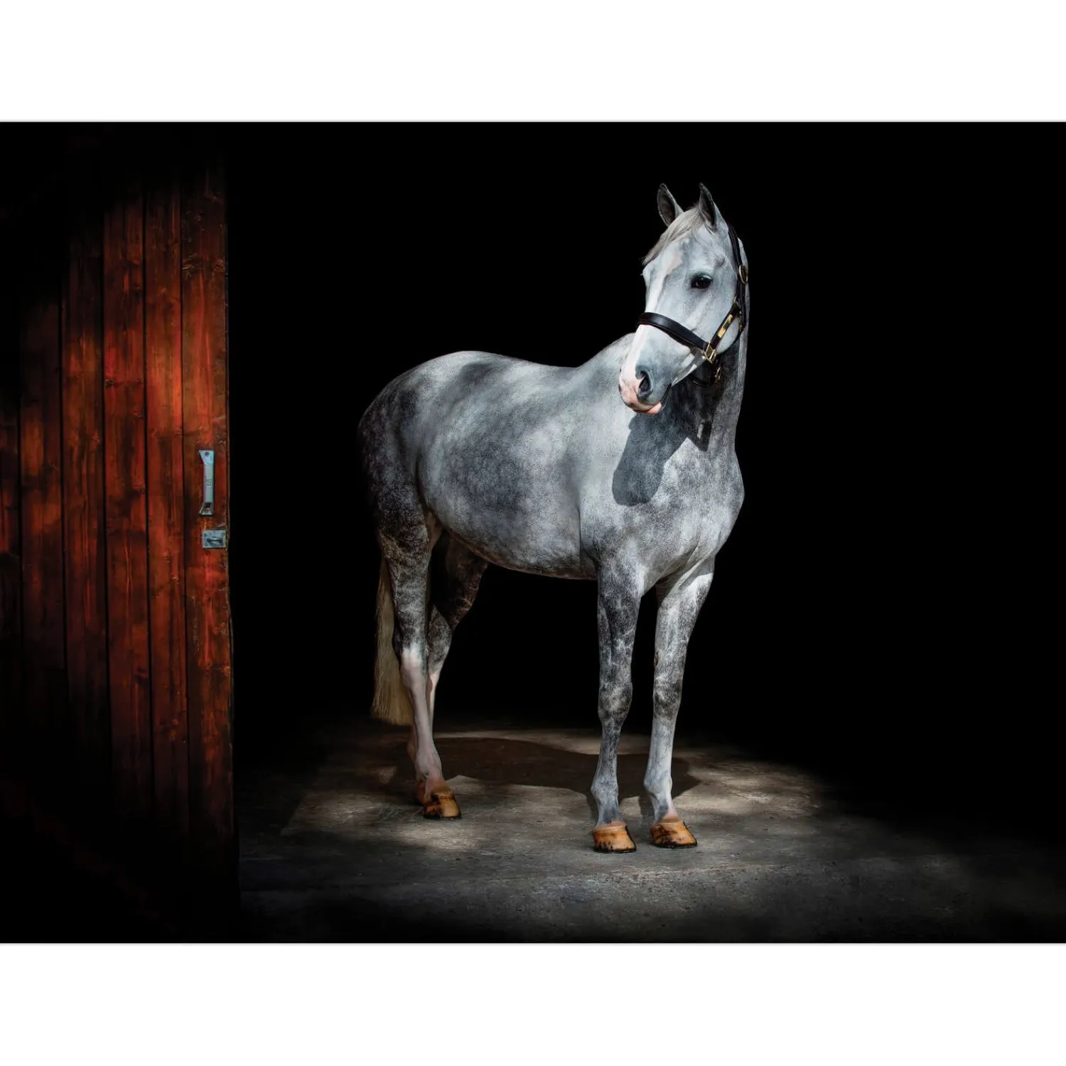 iStyle Rural Roots Rectangular Glass Worktop Saver - Horse