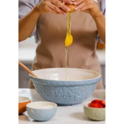 Mason Cash Stoneware Home To Roost S18 26cm Mixing Bowl - Blue