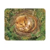 National Trust Medium Glass Worktop Protector - Dormouse