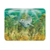 National Trust Medium Glass Worktop Protector - Seals