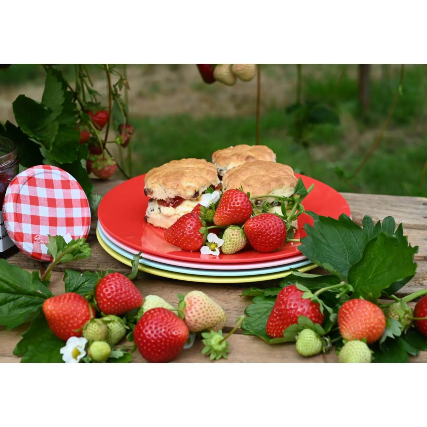 NAVIGATE Strawberries & Cream Set of 4 Reusable Plates in Mixed Colours
