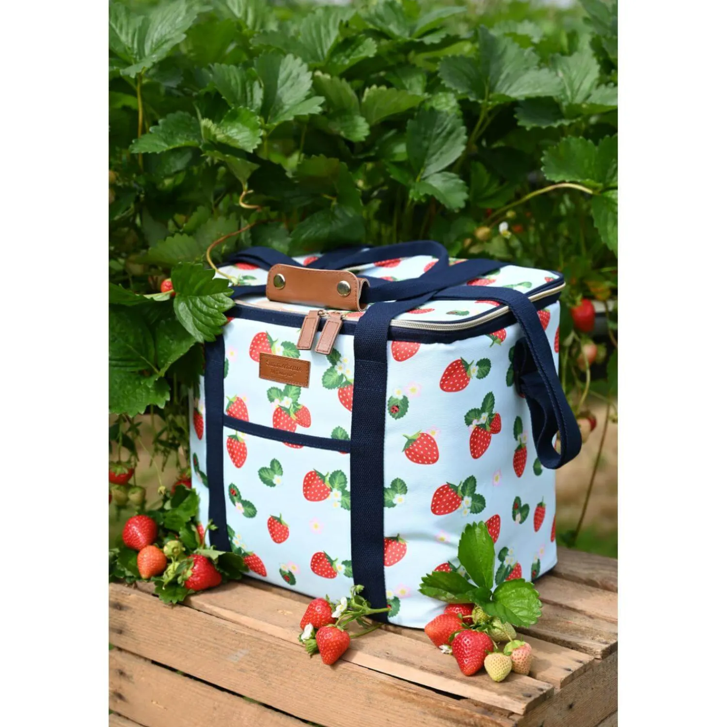 NAVIGATE Strawberries & Cream Family Insulated Cool Bag - Aqua