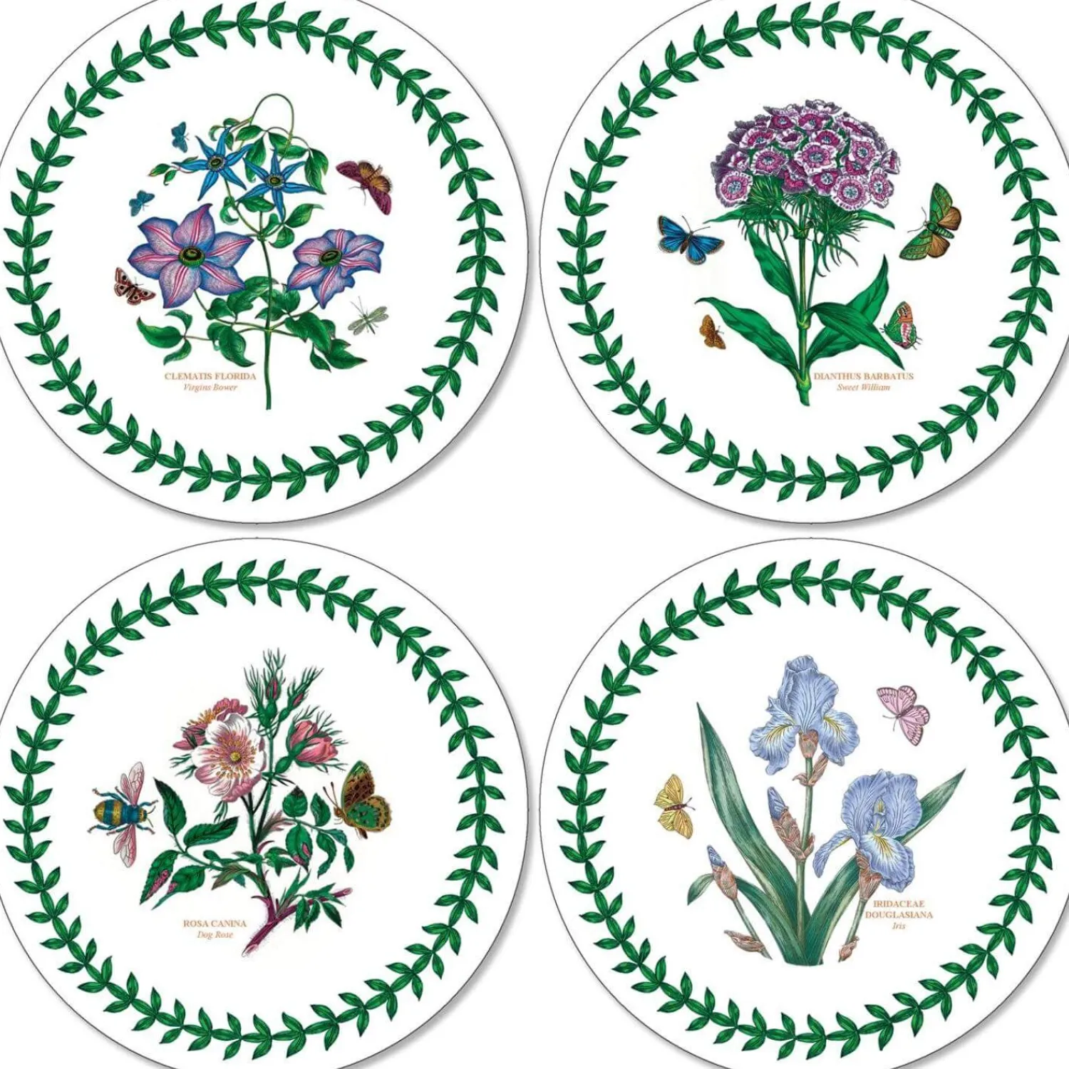 Botanic Garden Portmeirion Round Coasters - Set of 4