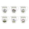 Botanic Garden Portmeirion Staffordshire 0.5 Pint Jug