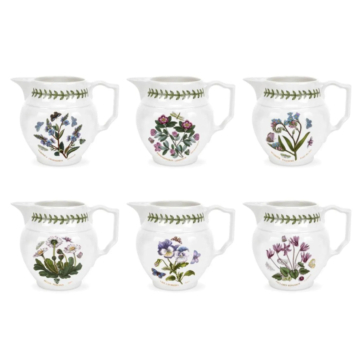 Botanic Garden Portmeirion Staffordshire 0.5 Pint Jug