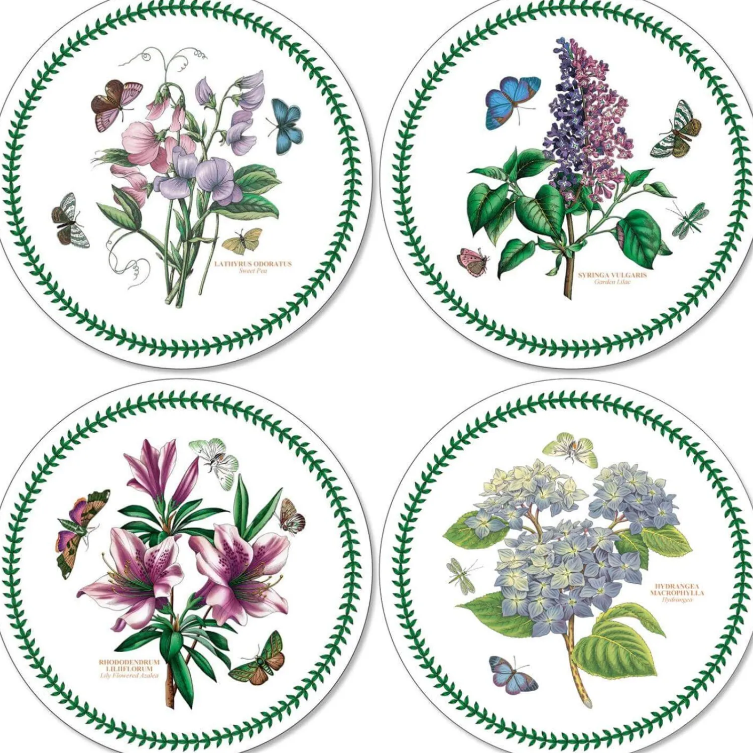 Botanic Garden Portmeirion Round Placemats - Set of 4