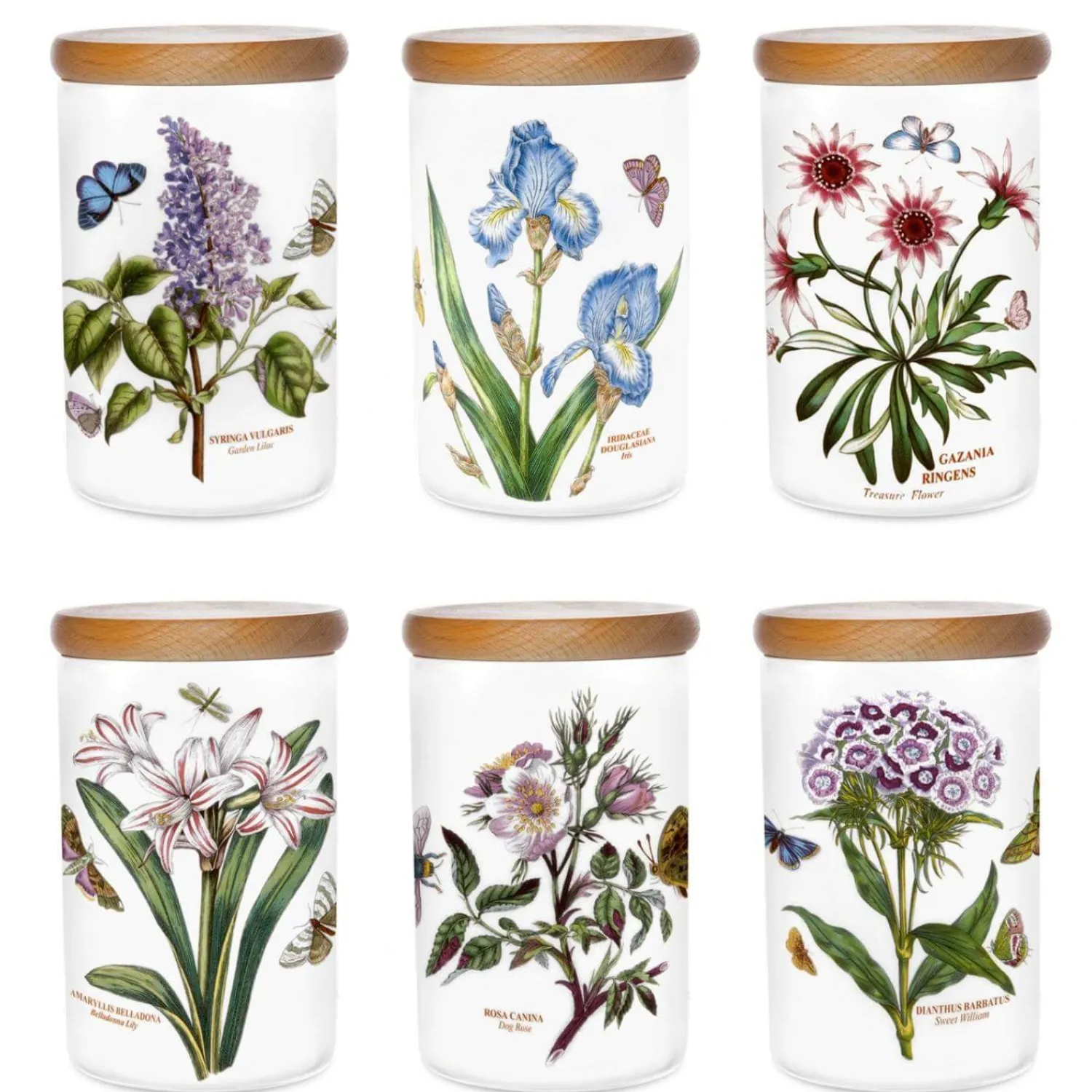 Botanic Garden Portmeirion 7" Airtight Storage Jar - Assorted