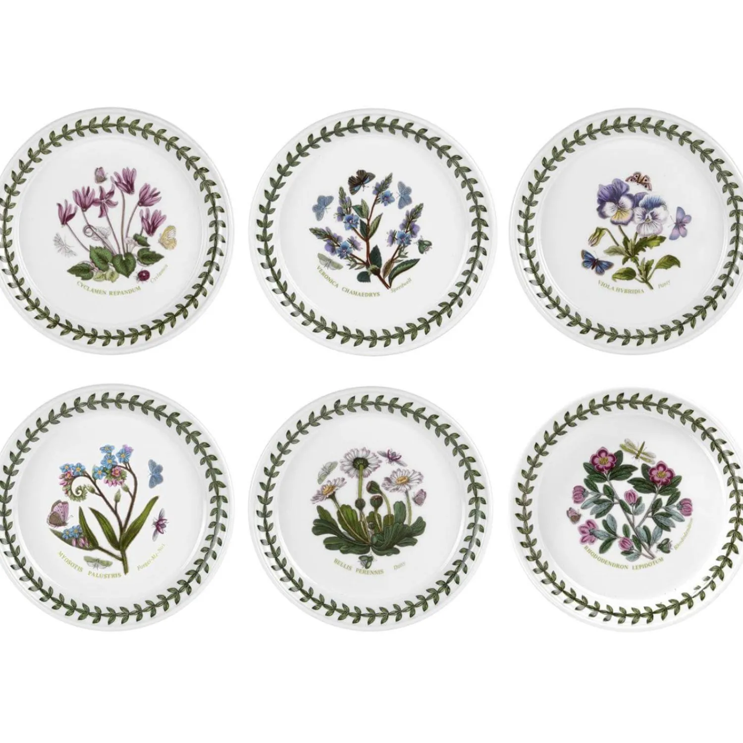 Botanic Garden Portmeirion 6" Bread Plate - Assorted