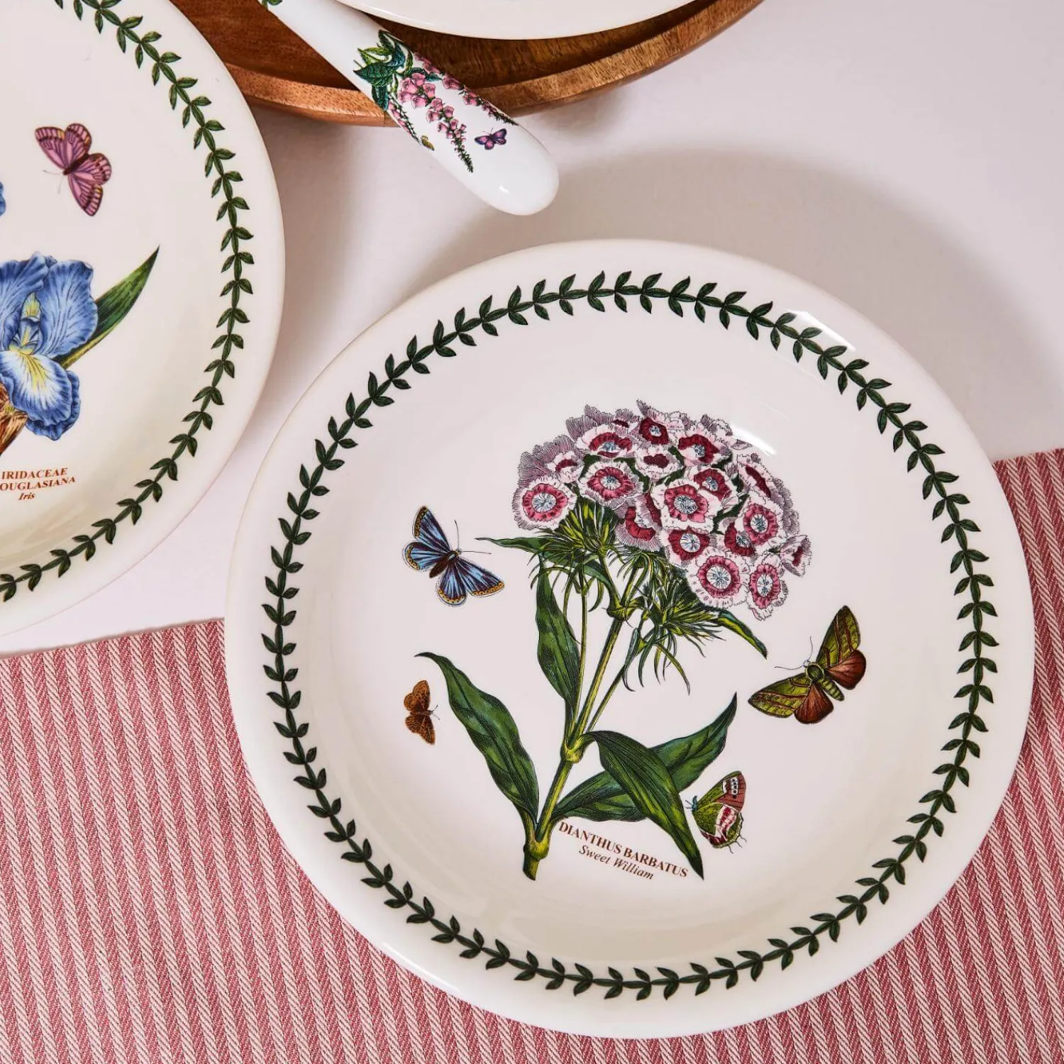 Botanic Garden Portmeirion 6" Bread Plate - Assorted