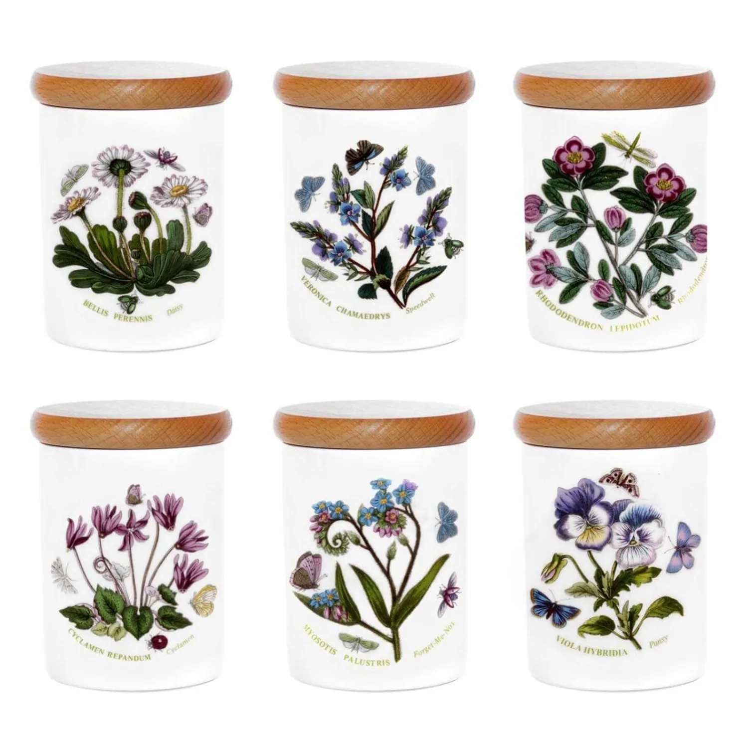 Botanic Garden Portmeirion 4" Airtight Storage Jar - Assorted