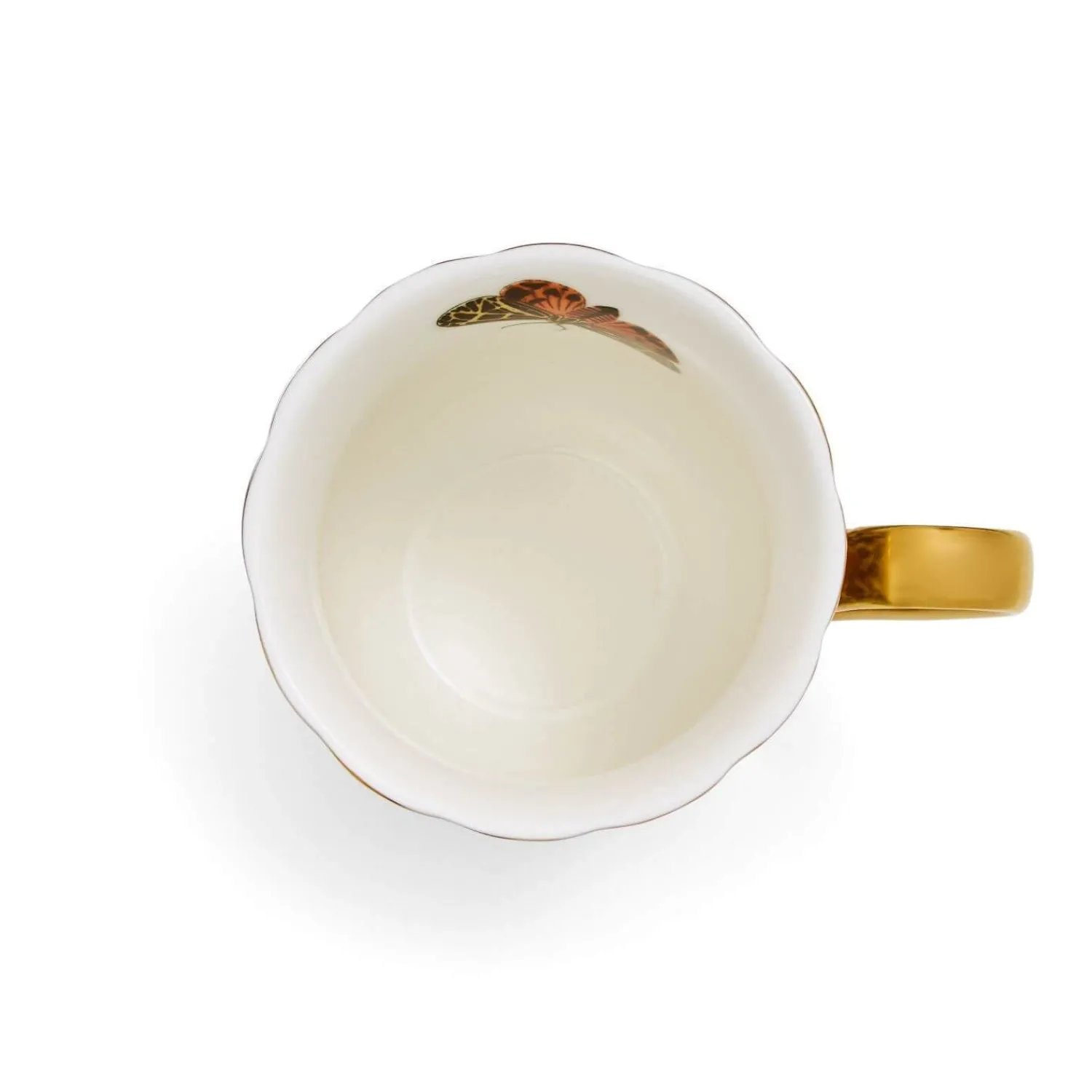 SPODE Creatures Of Curiosity 4 Piece Mug Gift Set