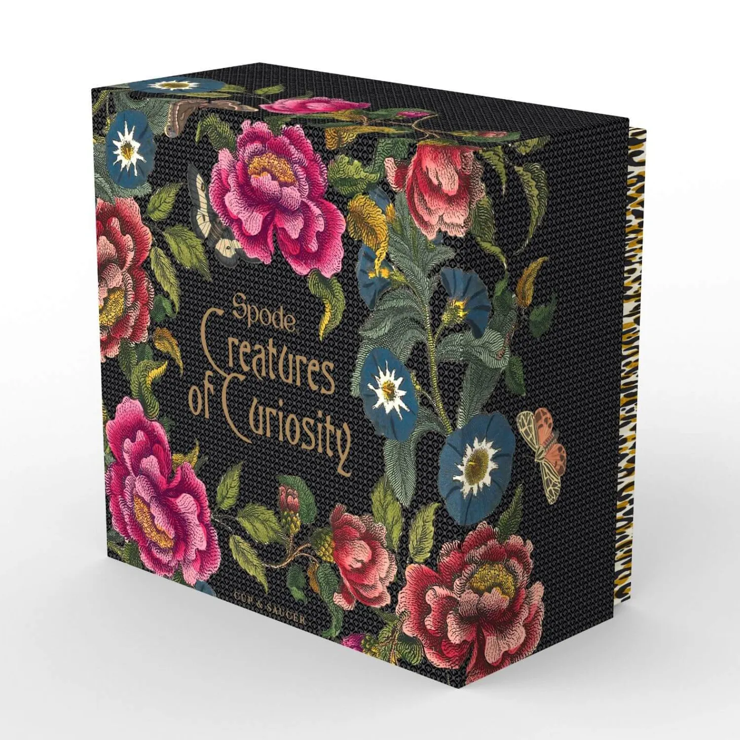SPODE Creatures of Curiosity Coupe Tea Cup & Saucer - Dark Floral