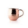 Taylor's Eye Witness Taylor's Eye Witness Taproom Stainless Steel 450ml Moscow Mule Mug - Hammered Copper