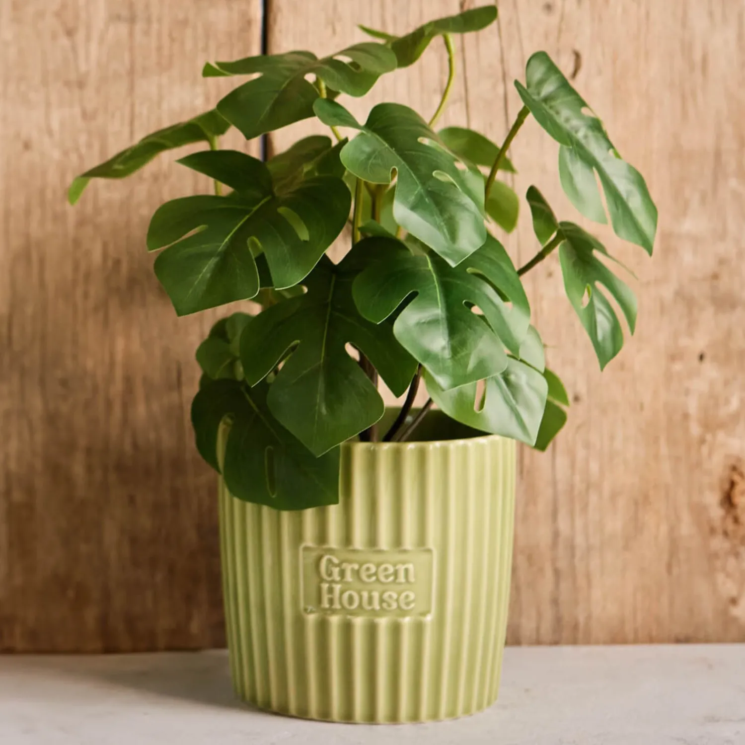 Tu0026G T&G Green House Large Plant Pot