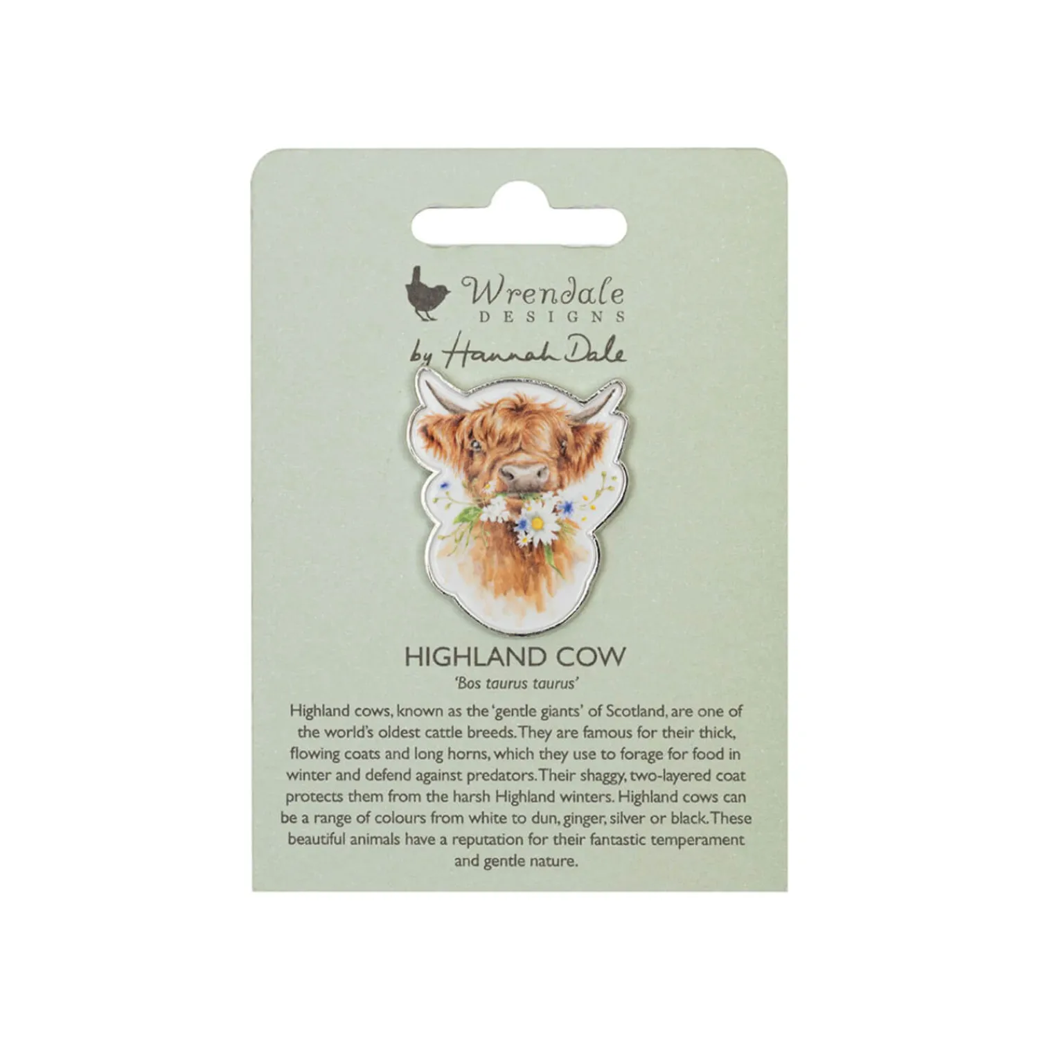 Wrendale Designs by Hannah Dale Pin Badge - Daisy Coo - Highland Cow
