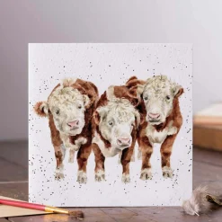 Wrendale Designs by Hannah Dale Card - Paddy, Percy & Pedro - Cows