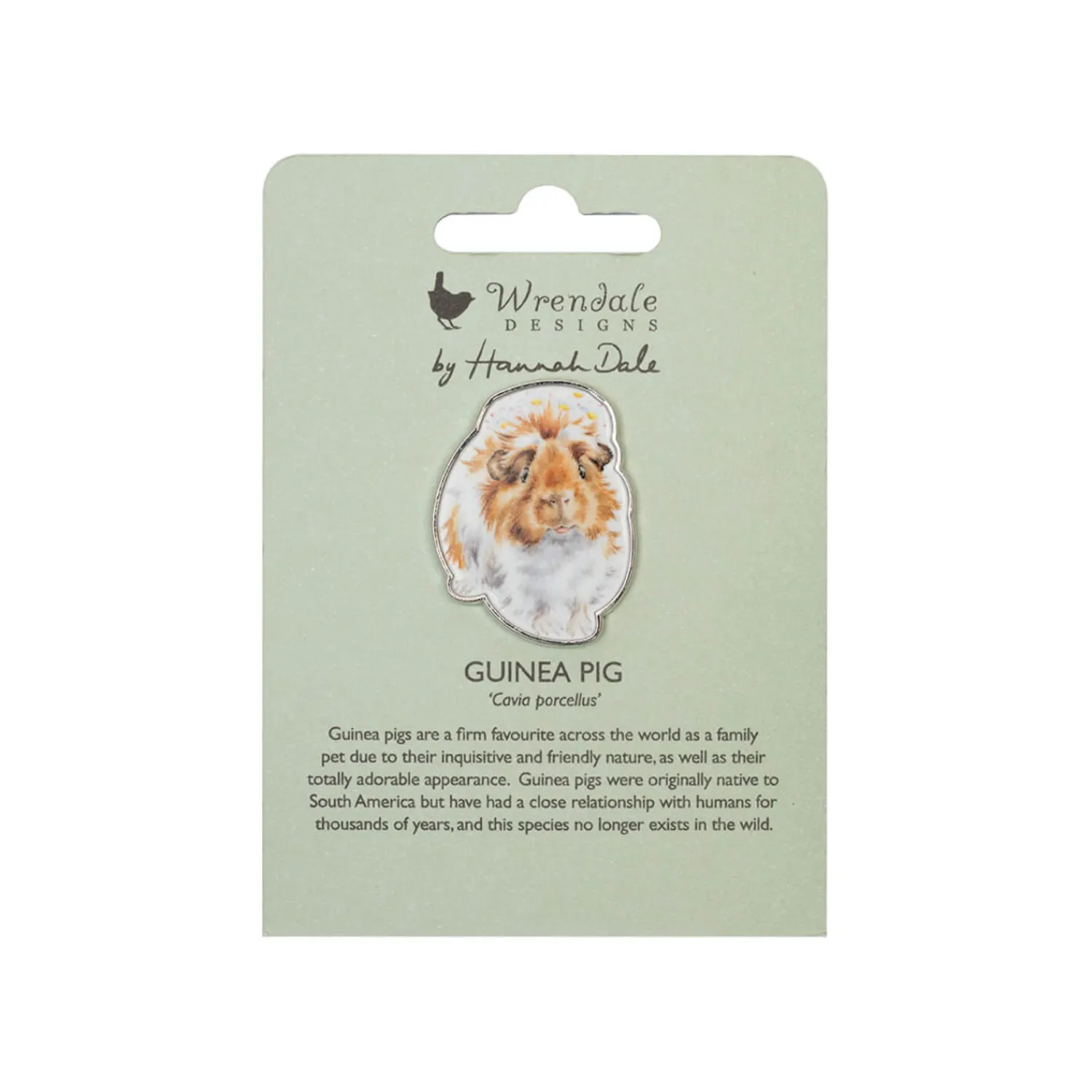 Wrendale Designs by Hannah Dale Pin Badge - Grinny Pig - Guinea Pig
