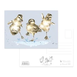 Wrendale Designs by Hannah Dale Postcard - Puddle Ducks