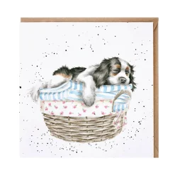 Wrendale Designs by Hannah Dale Card - Wash, Dry, Fold, Repeat