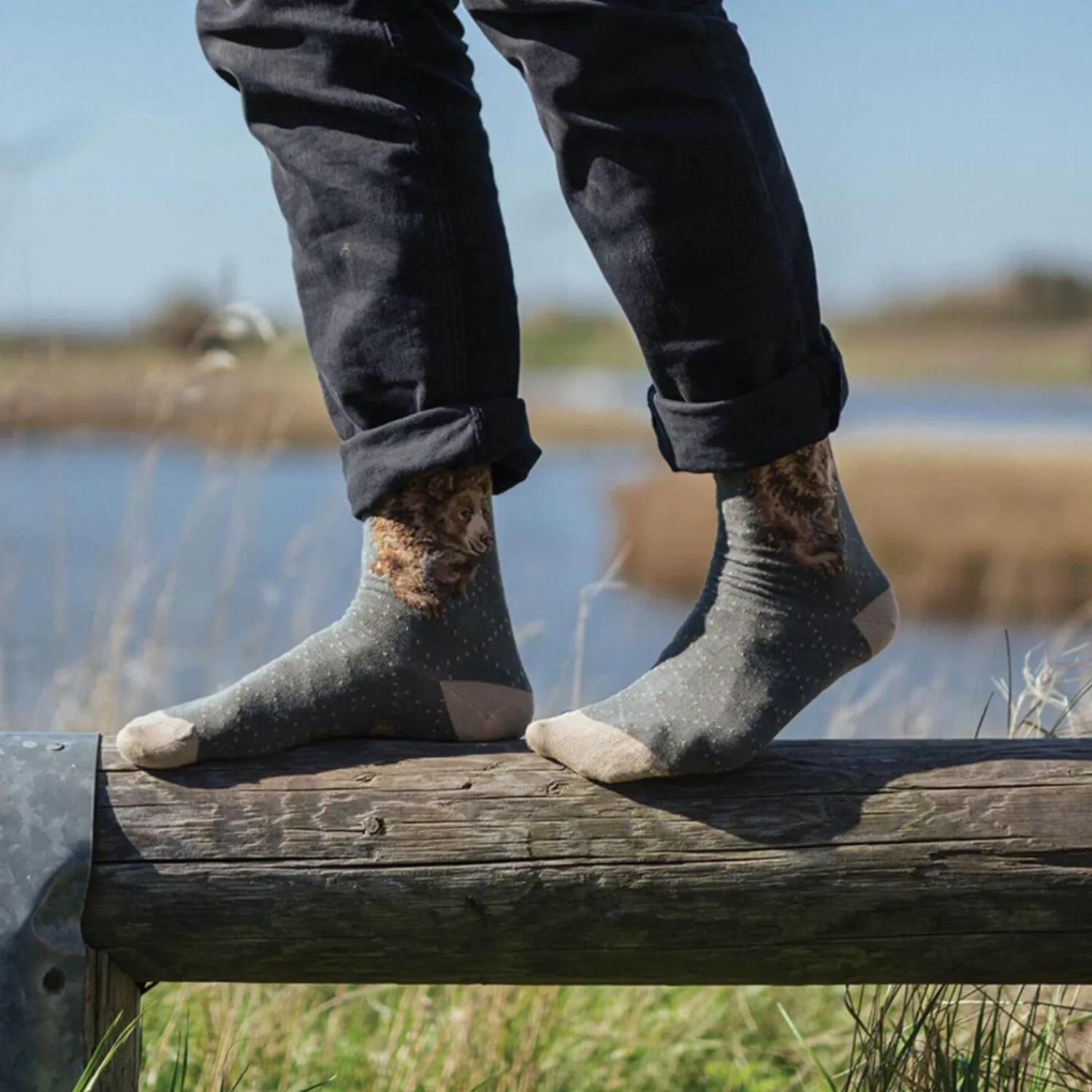 Wrendale Designs Mens Bamboo Socks One Size 7-11 - In My Footsteps