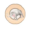 Yvonne Ellen Fine China Tea Plate - Elephant