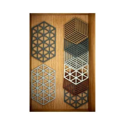ZONE Denmark Hexagon Silicone Trivet - Terracotta